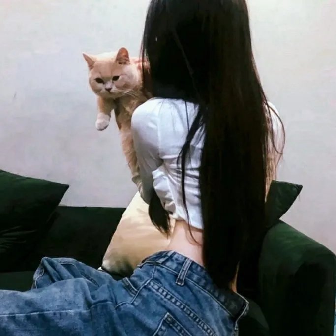 子夜的太阳